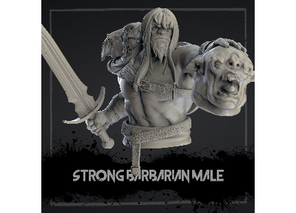 Fantasy Busts,Heros,Strong Barbarian