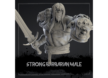 Fantasy%20Busts,Heros,Strong Barbarian