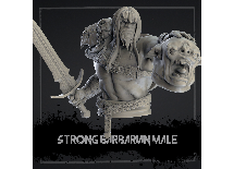 Image,Strong Barbarian