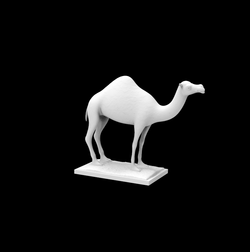Image,Camel