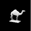 Image,Camel