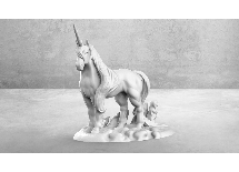 Image,Unicorn - Casual