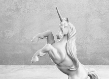 Image,Unicorn - Action