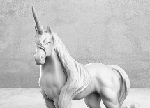 Image,Unicorn - Casual